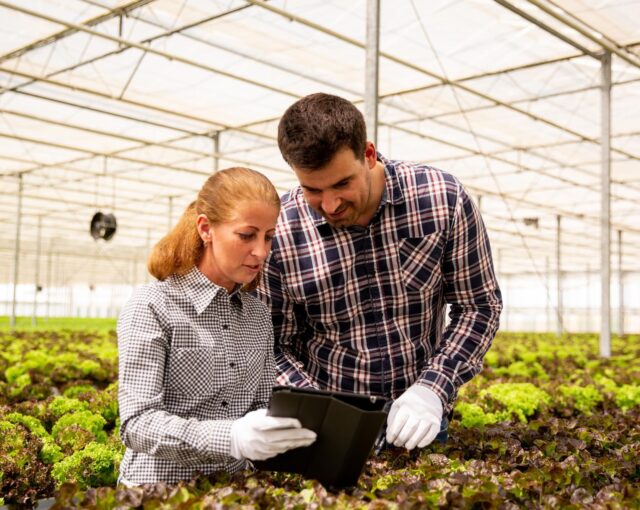 Conseiller Agronome Cerfrance Brocéliande